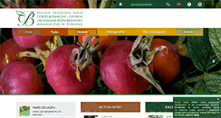 Desktop Screenshot of ogrod-powsin.pl